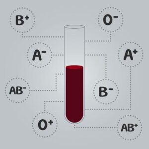Your Blood Type Matters: Complete Guide to Blood Groups